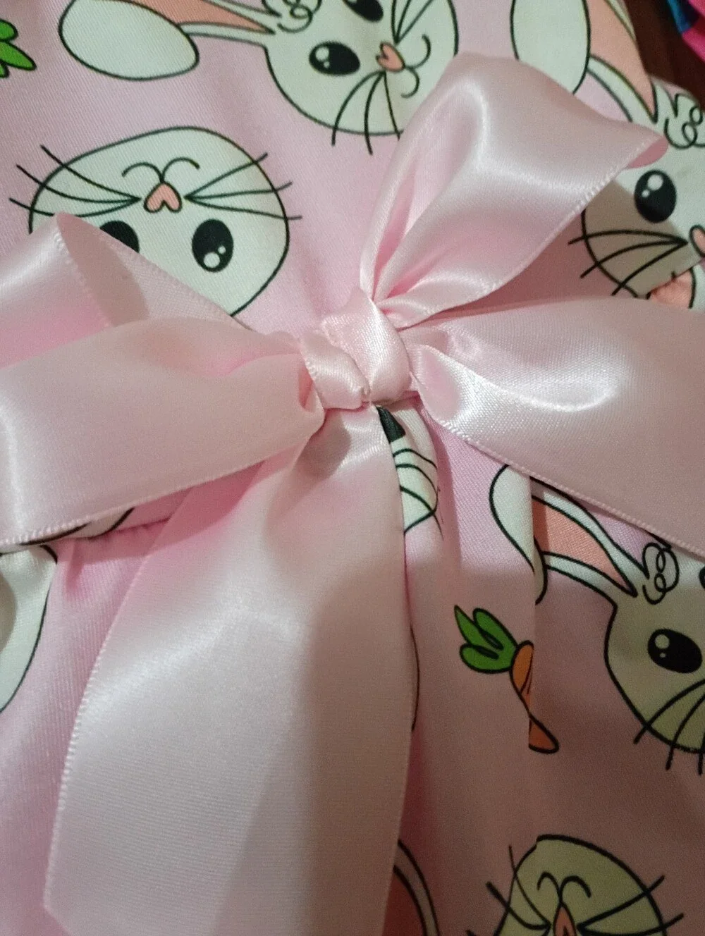 Dog Size Small Raincoat and Bunny Dress